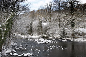 Lake District Photography by Neil Salisbury Betty Fold Gallery Hawkshead